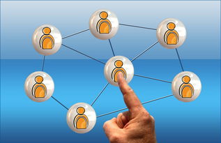 九游娱乐网站-体育新闻中心参与高校体育传媒课程共建，体育新闻与管理系