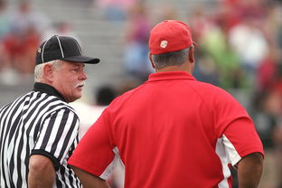 九游官网入口活动-国际裁判大会讨论引入更多视频回放标准,2021国际裁判