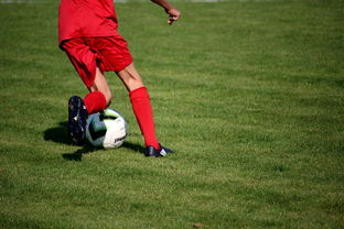 九游娱乐下载-中国足球俱乐部管理层治理结构与决策质量提升,足球队管理层