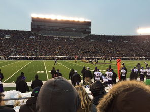 九游网页官网-中国足球职业联赛赛场观众服务创新，足球场的观众席